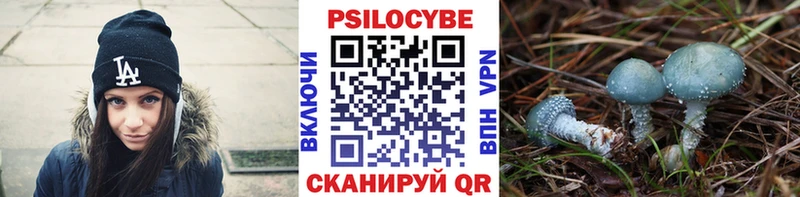 Псилоцибиновые грибы ЛСД  дарнет шоп  Ноябрьск 